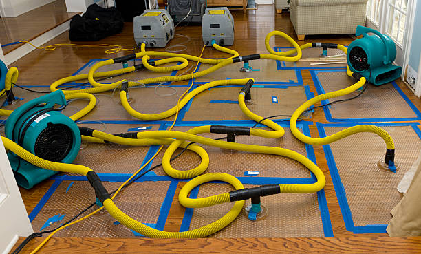 Professional Water Damage Restoration technician working in Port Monmouth, NJ